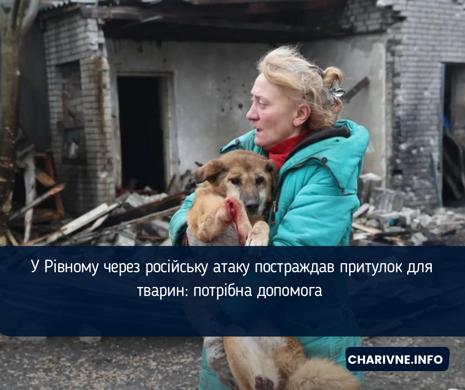 *на фото - ситуація після влучання по притулку для тварин на Запоріжжі
